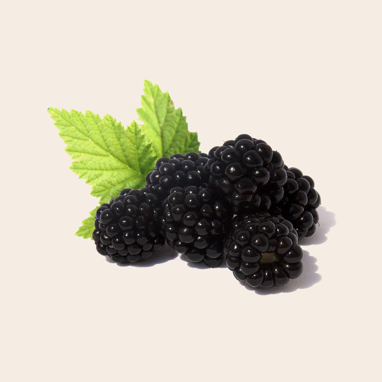 Blackberries, fruit, health — Elevate Your Performance: Trenbolone for Sale to Transform Your Body