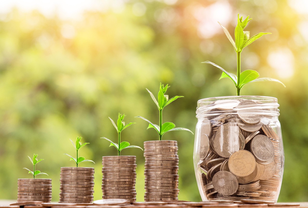 Money, coin, investment — Email Marketing Strategies for Capturing Interested Mold Removal Prospects