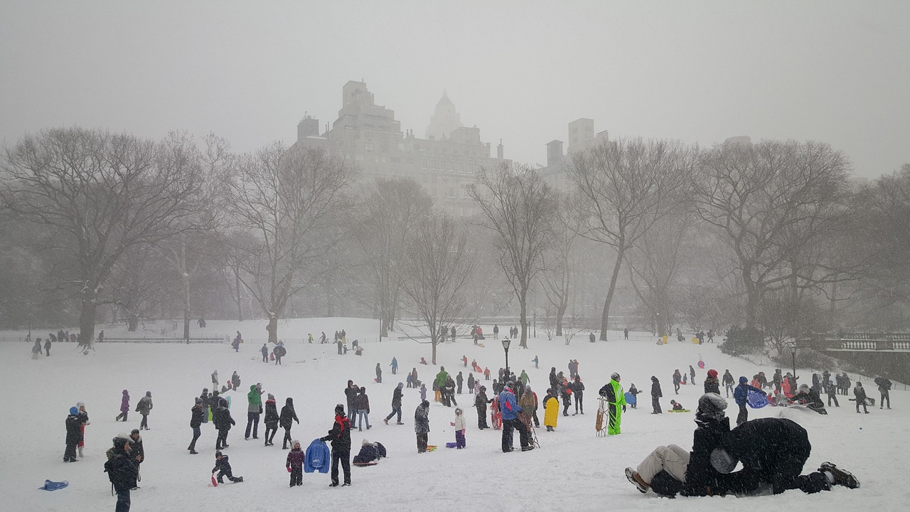Snow, central park, new york — Detailed guide on how to apply TKTX numbing cream