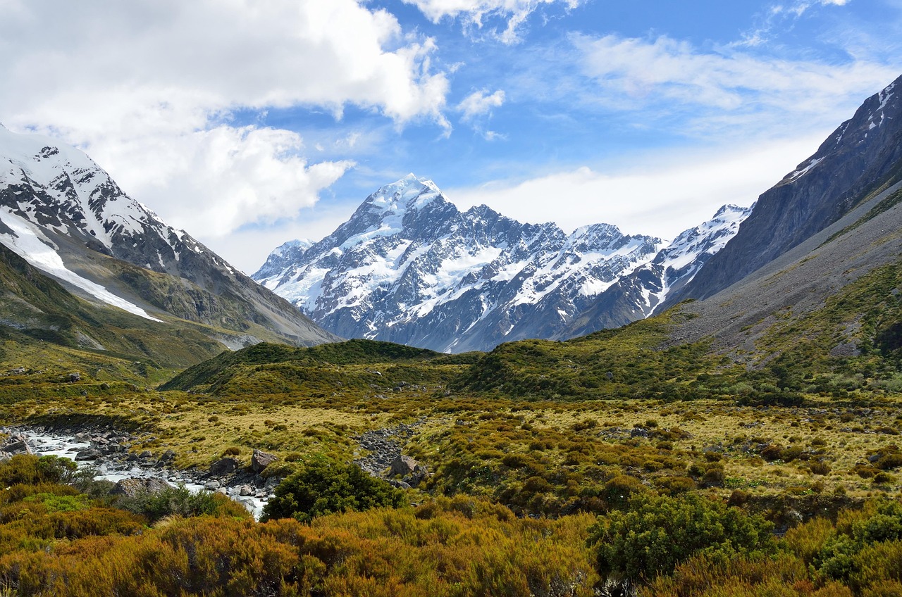 Valley, mountains, landscape — The Visionary Mind of Dr. Philip Sobash: Illuminating Neurological Insights